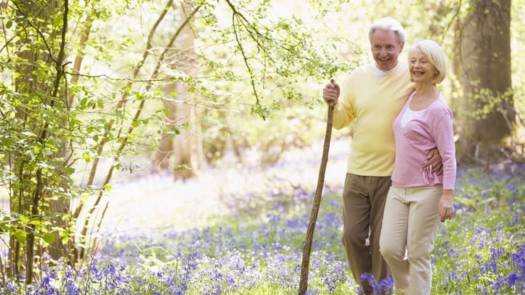 Parkinsons disease care plan